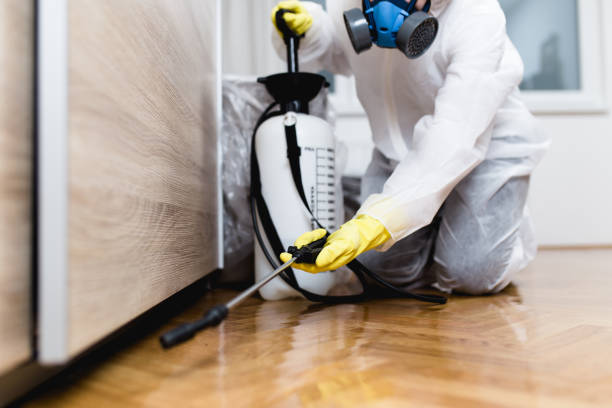 Portsmouth, NH Pest Control Company
