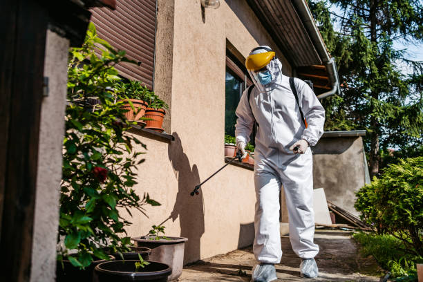 Best Affordable Pest Control Services  in Portsmouth, NH