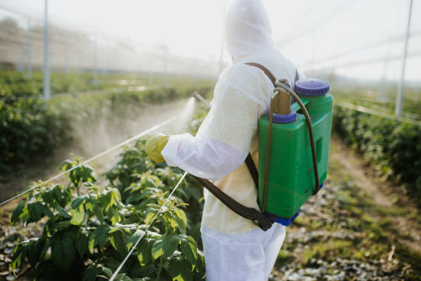Best Pest Control Near Me  in Portsmouth, NH